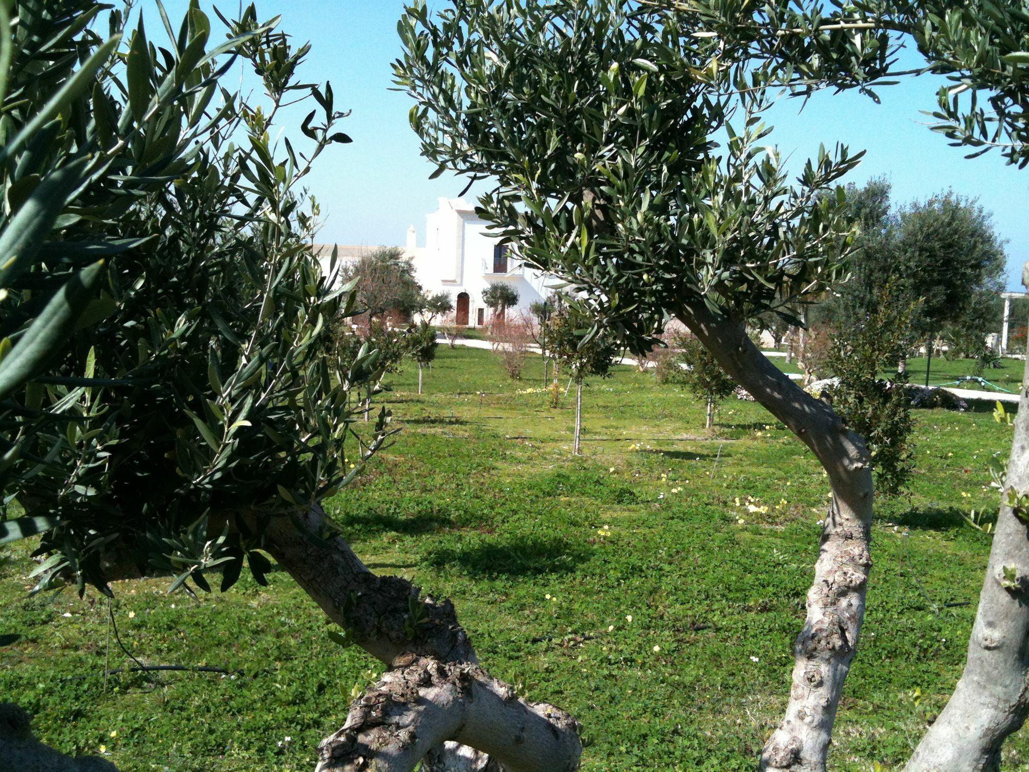 Casale Del Murgese Country Resort Savelletri Eksteriør billede